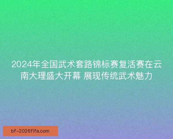 2024年全国武术套路锦标赛复活赛在云南大理盛大开幕 展现传统武术魅力