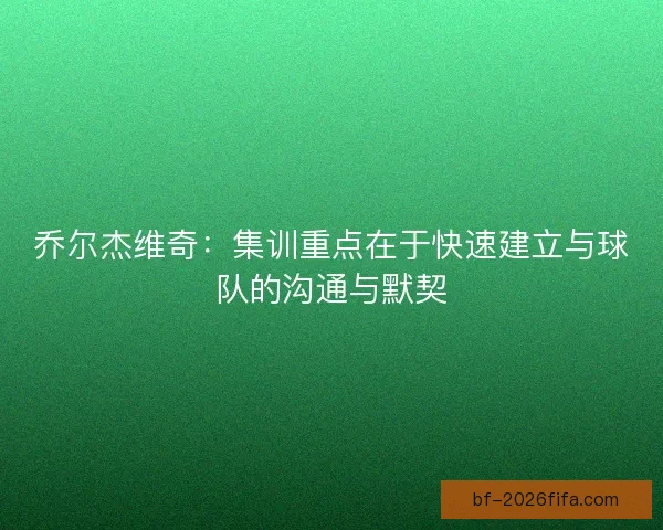 乔尔杰维奇：集训重点在于快速建立与球队的沟通与默契