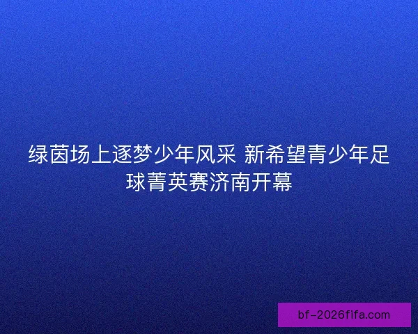 绿茵场上逐梦少年风采 新希望青少年足球菁英赛济南开幕